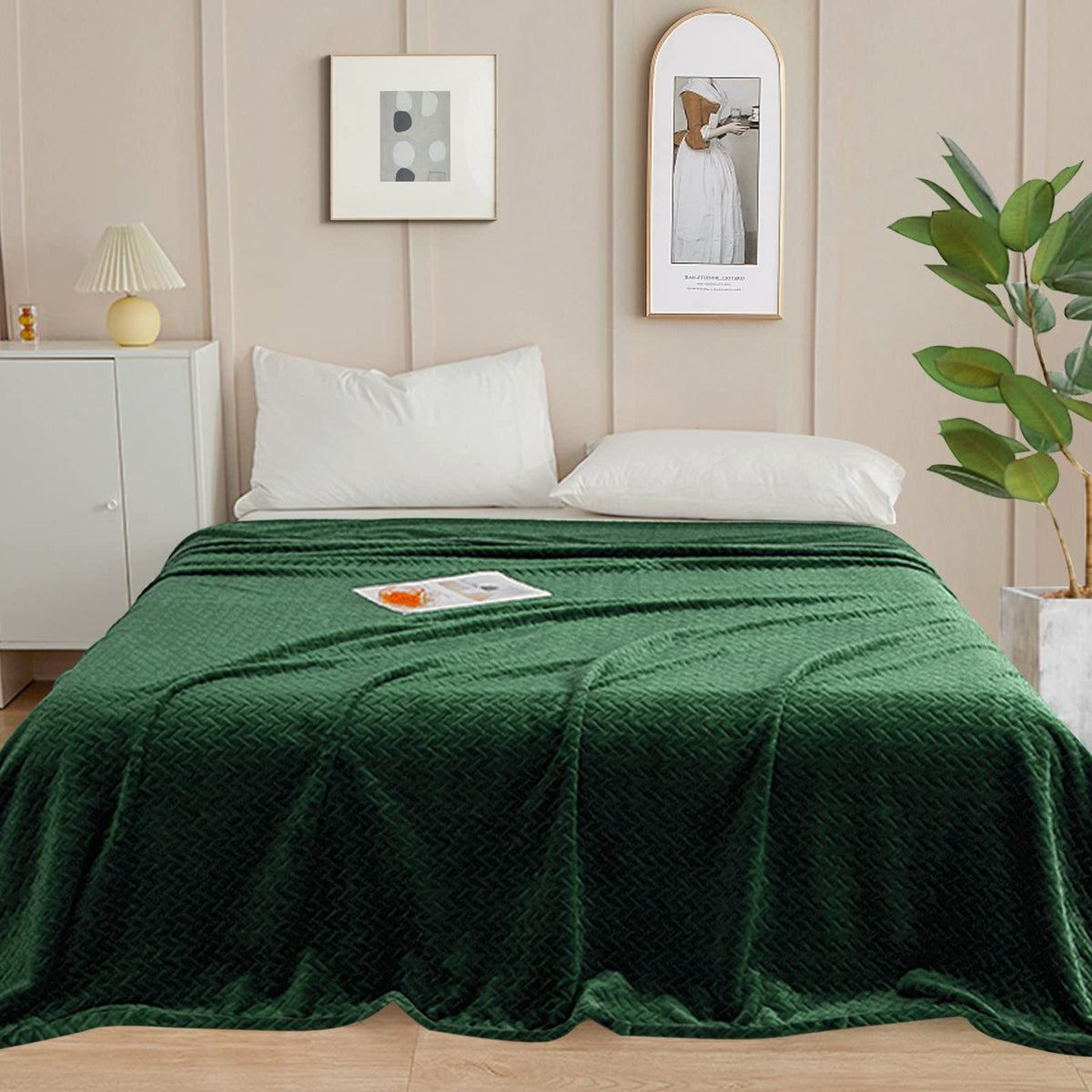 Inhand Fleece Throw Blanket, Super Soft Flannel Cozy for Adults, Washable Lightweight for Couch, Sofa, Bed, Office, Warm Plush for All Season, Green, 50"×60"