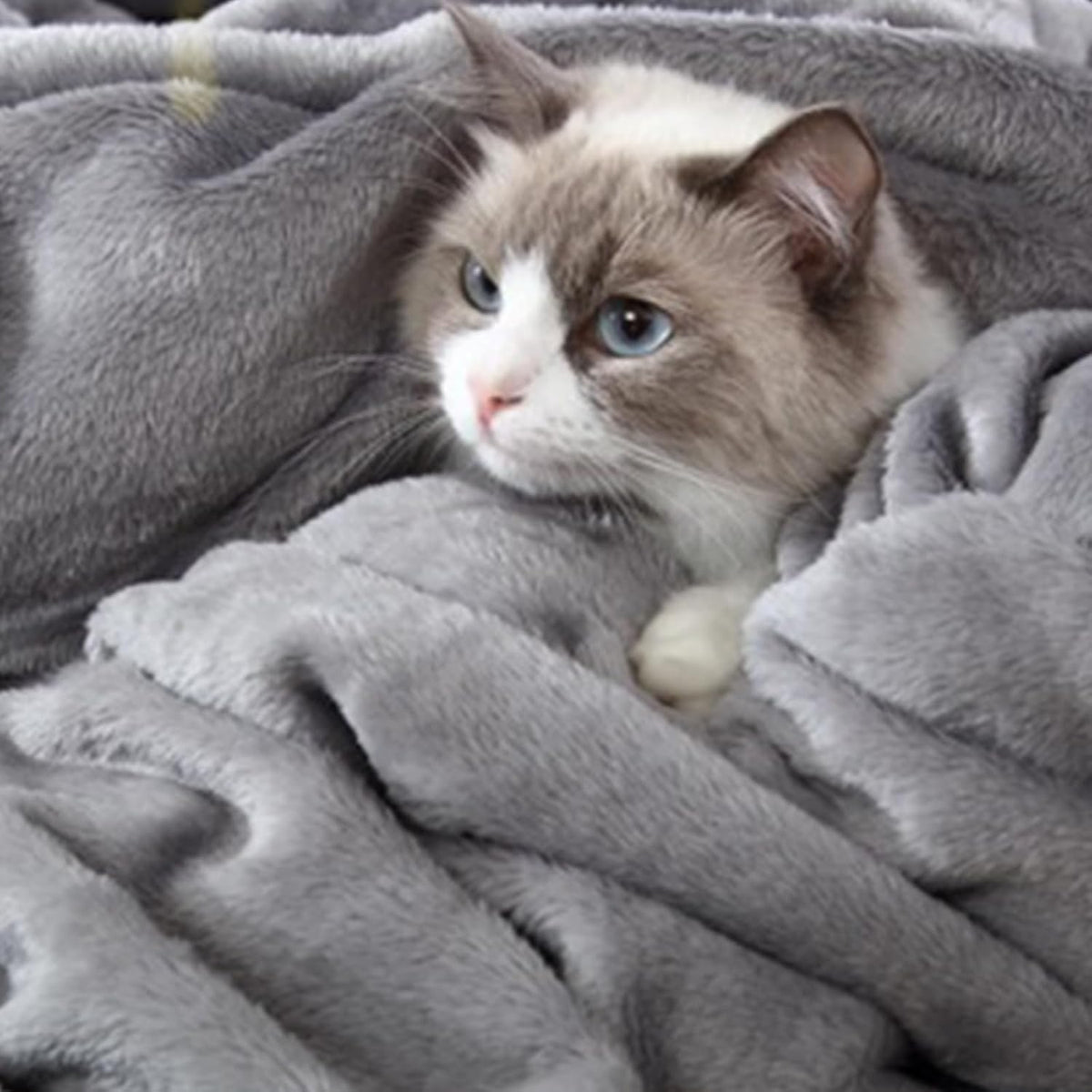 Hansleep Queen Grey Fleece Blanket, Soft Flannel Bed Blanket