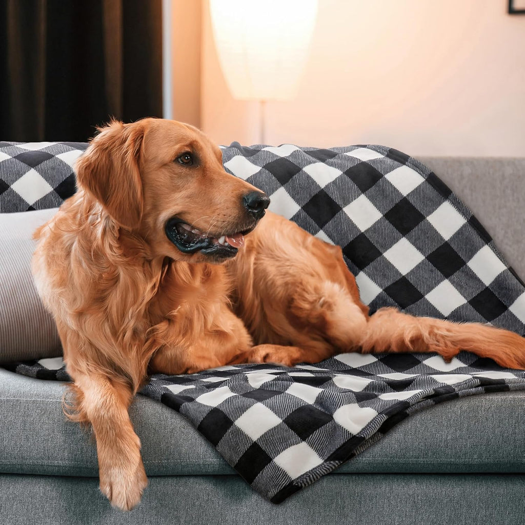 BEDELITE Buffalo Plaid Flannel Fleece Throw Blanket for Couch