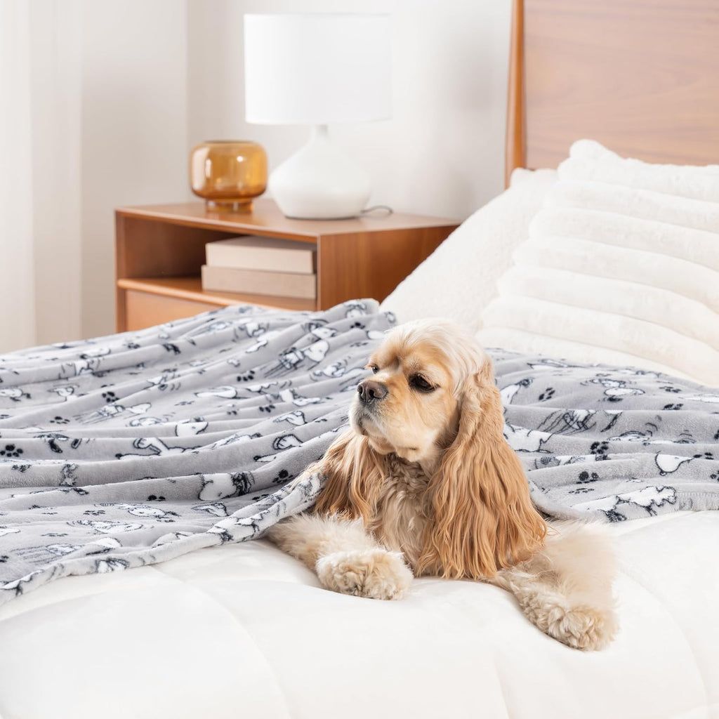 Berkshire Blanket Peanuts® VelvetLoft® Cute Character Snoopy Plush Throw Blanket,Peanuts Poses and Paws Grey,Throw 55 in x 70 in (Official Peanuts® Product)