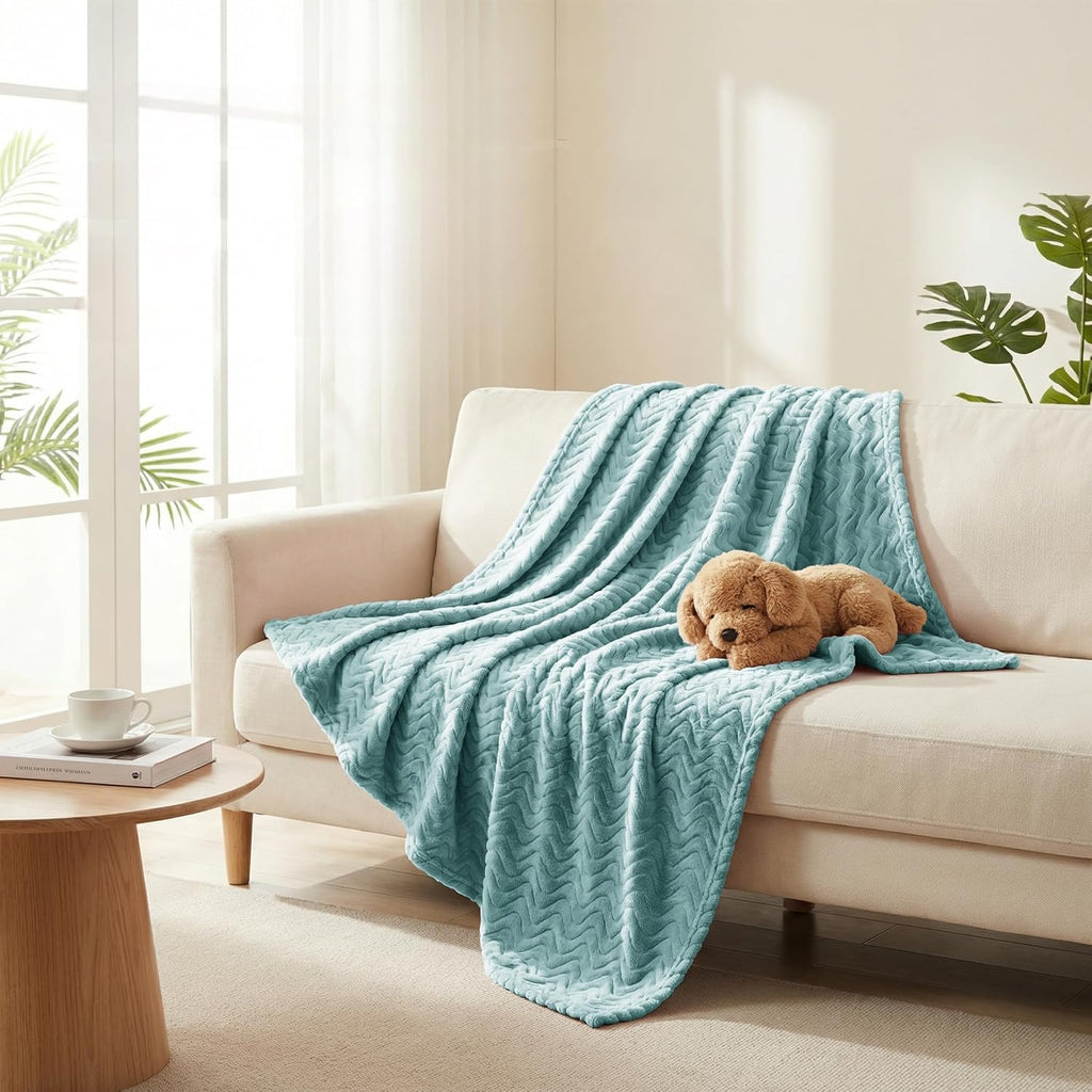 Exclusivo Mezcla Large Fleece Throw Blanket for Couch, Sofa, Celadon