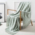 Homiest Pale Blue Knitted Throw Blanket with Fringe, 50x60 Inch